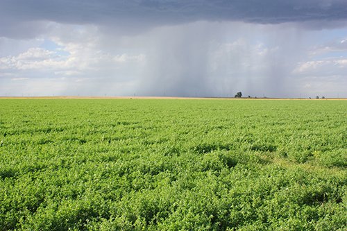 Property photo 65 - LAND AUCTION, 3255+/- Acres offered in 13 Tracts